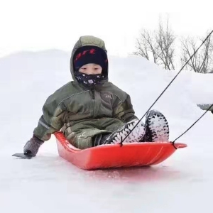 滑雪車(chē)